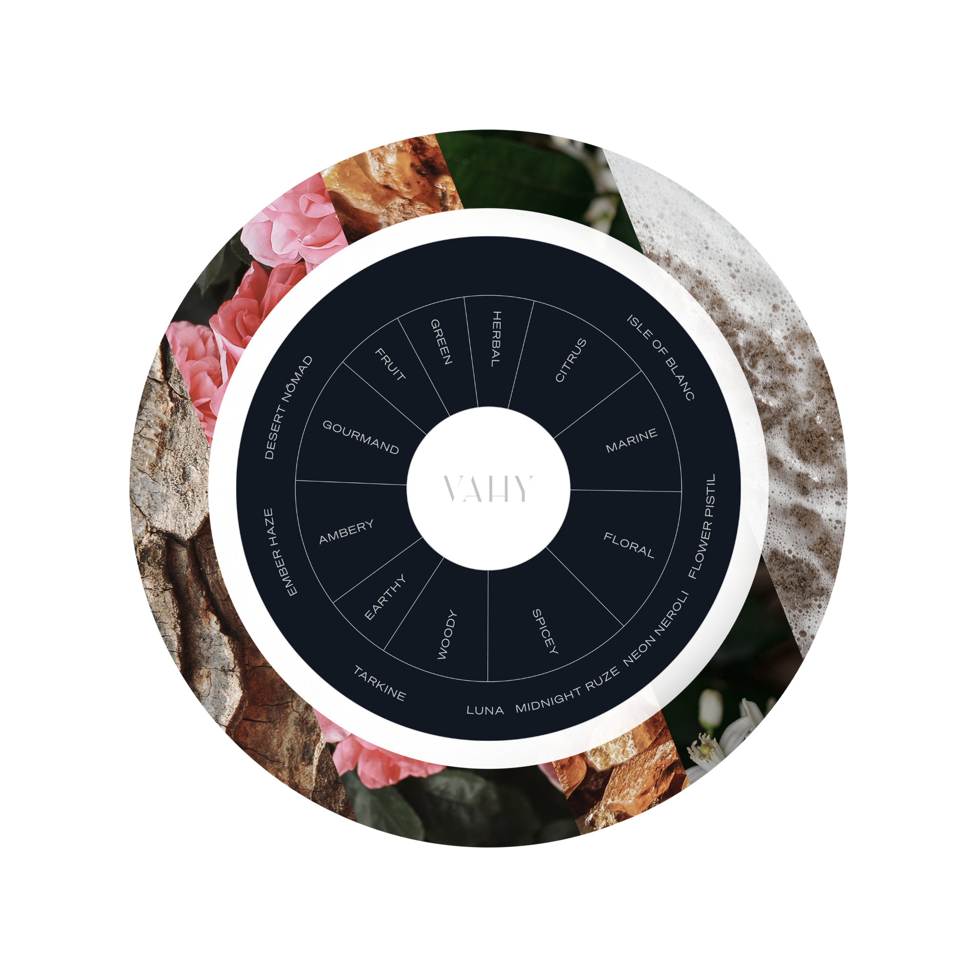 Untitled_design-4.png