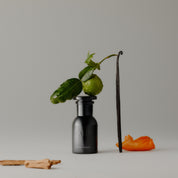 Desert Nōmad Perfume