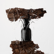 Tarkine Perfume