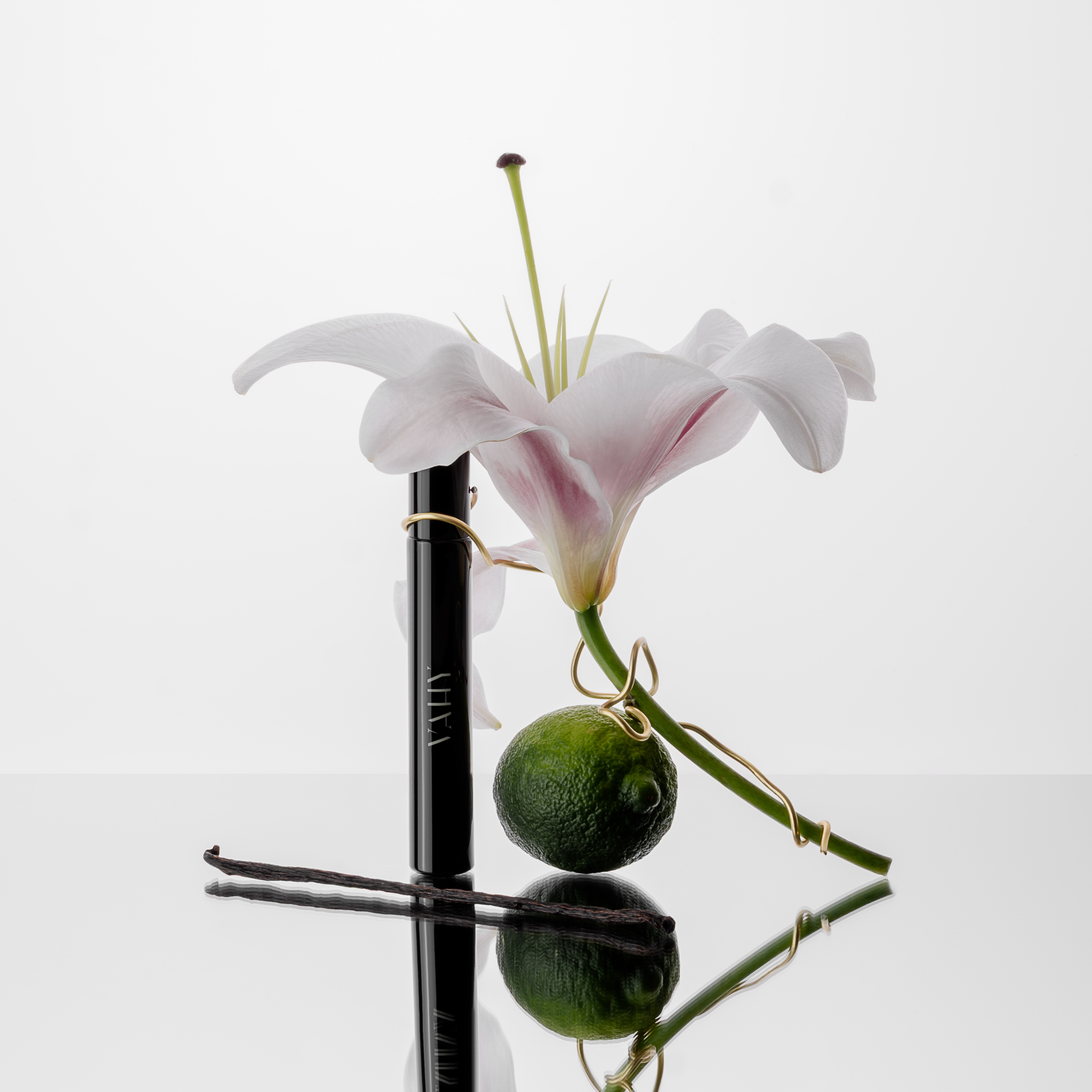 2_a46a5061-cc8d-4a9c-ab05-fc6a68db6406.png