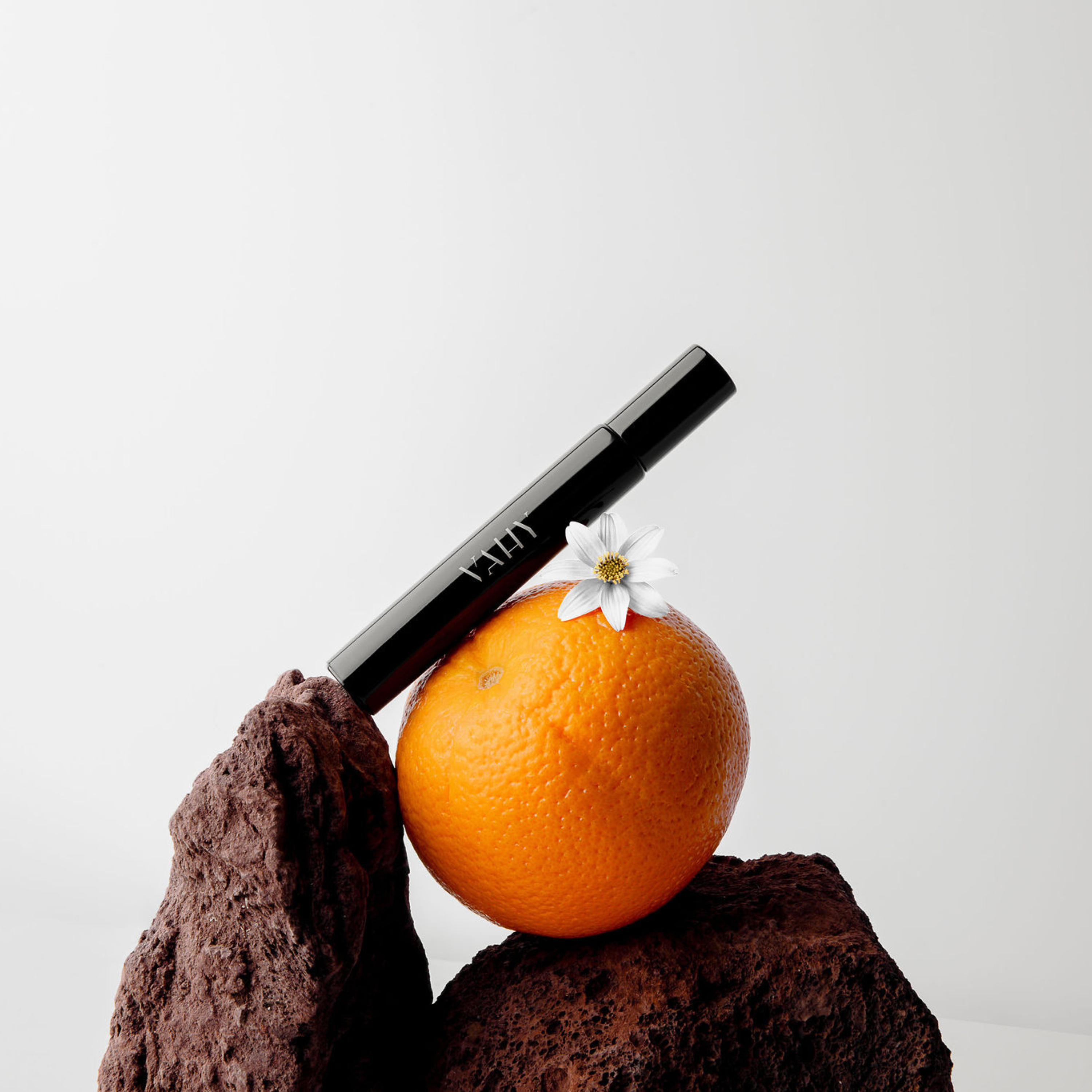 5_98322dbd-15ea-4d6e-9f23-3bccbb8b18f9.png